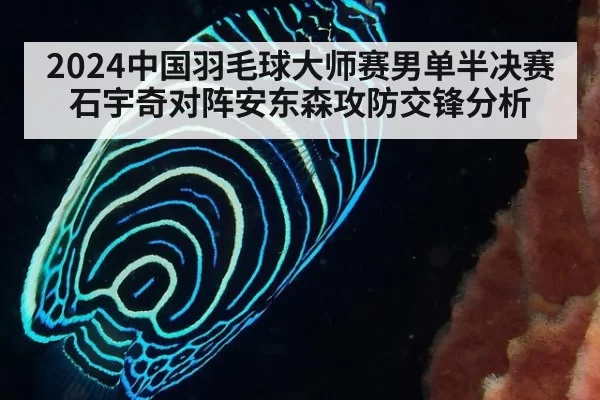2024中国羽毛球大师赛男单半决赛石宇奇对阵安东森攻防交锋分析